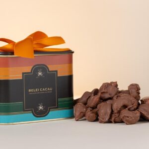 Lata Castanha de Caju com Chocolate ao Leite 100g